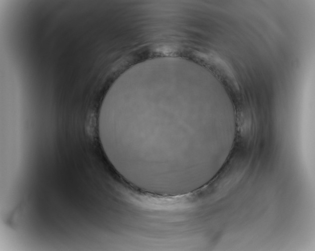 X0000095950036200802011111