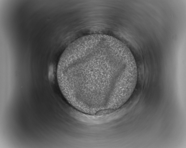 X0000095950038200802011110