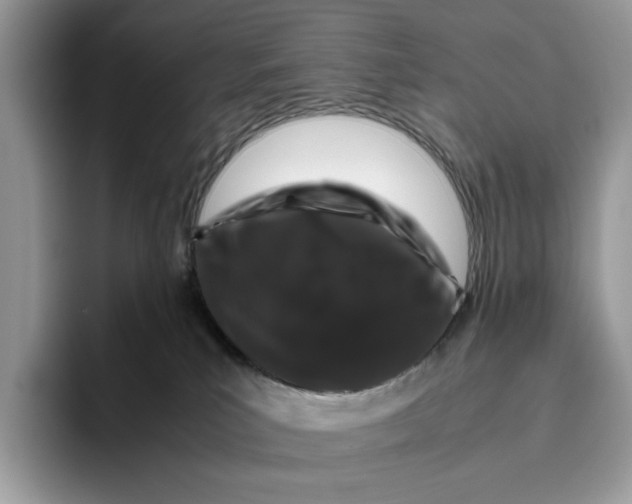 X0000095950039200802011110