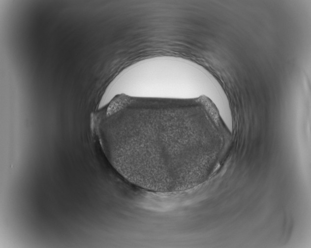 X0000095950041200802011110