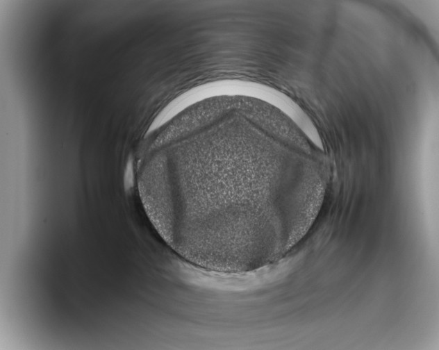 X0000095950042200802011110