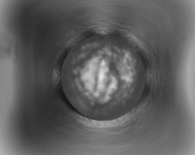 X0000095950043200802011110