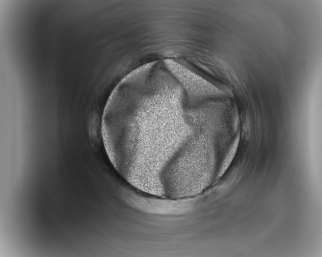 X0000095950044200802011110