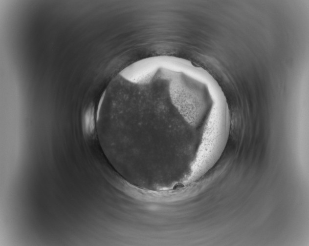 X0000095950046200802011110