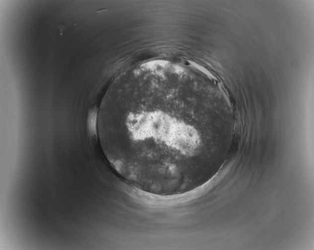 X0000095950047200802011110