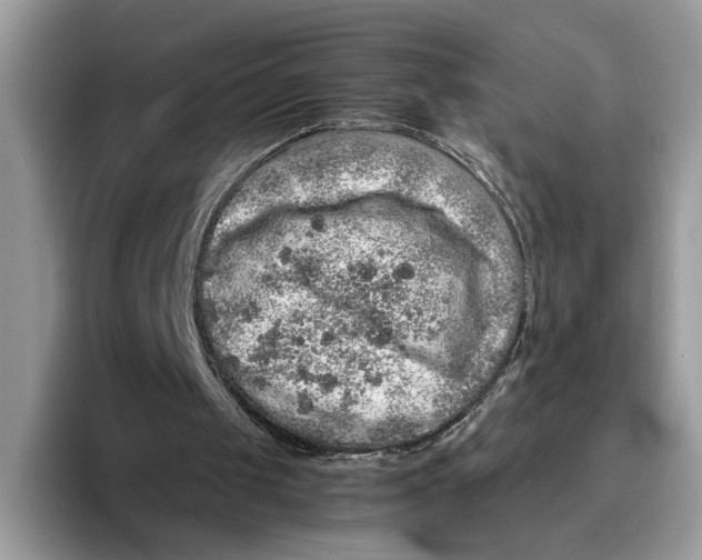 X0000095950049200802011110