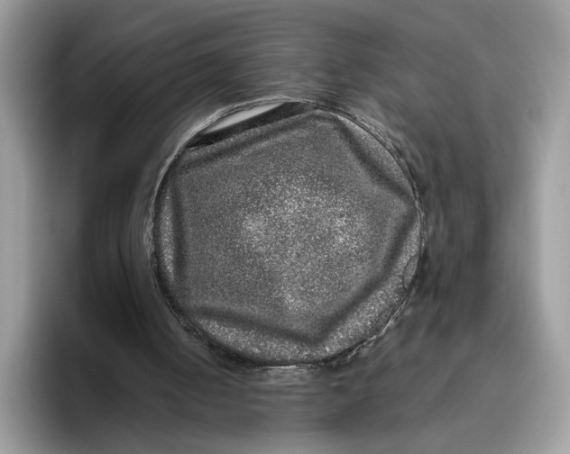 X0000095950050200802011110