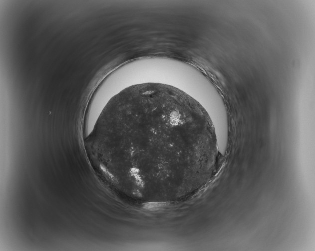 X0000095950051200802011110