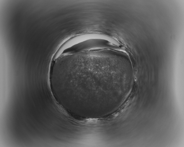 X0000095950052200802011110