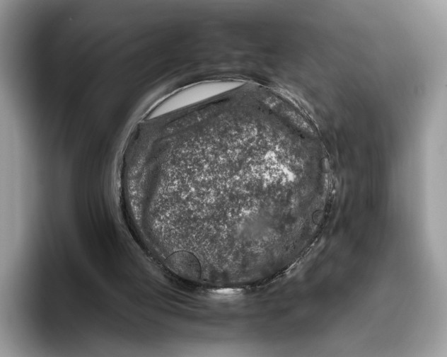 X0000095950053200802011110