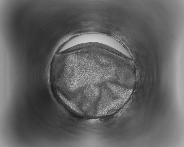 X0000095950054200802011110