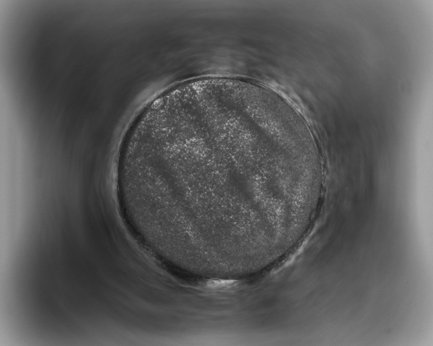 X0000095950055200802011110