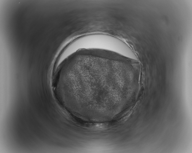 X0000095950056200802011110