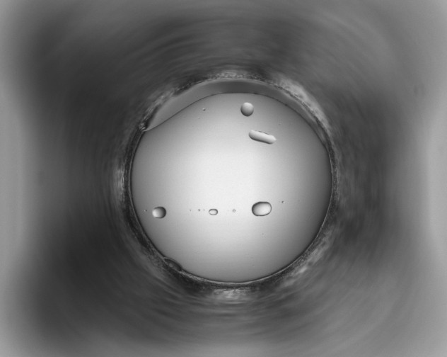 X0000095950057200802011110