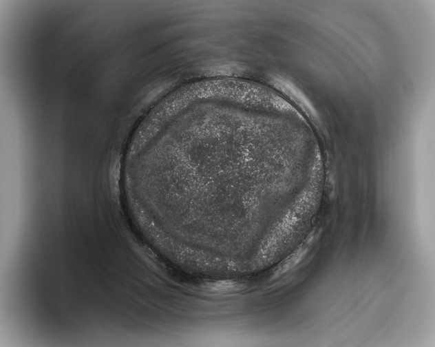 X0000095950058200802011110