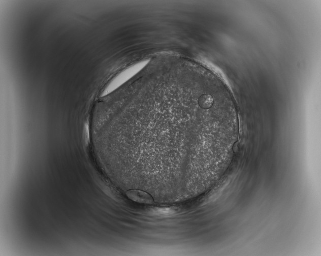 X0000095950061200802011110