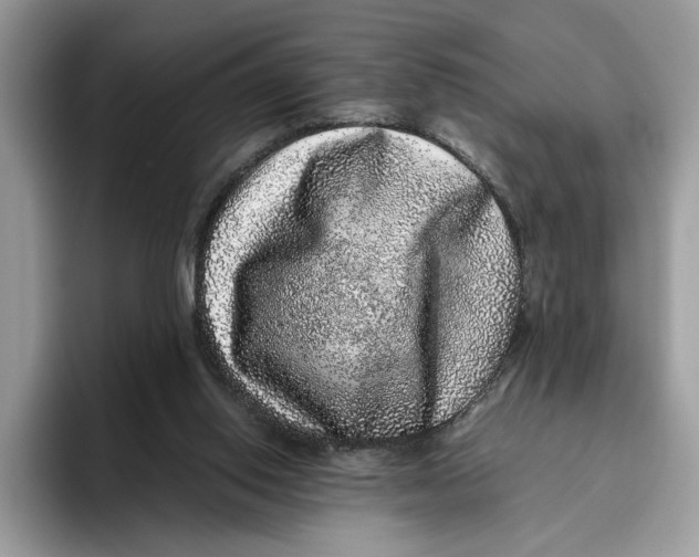 X0000095950062200802011110