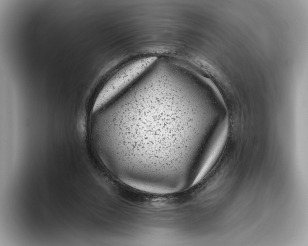 X0000095950064200802011110