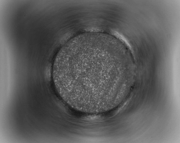 X0000095950065200802011110