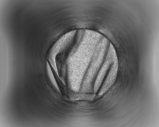 X0000095950066200802011110