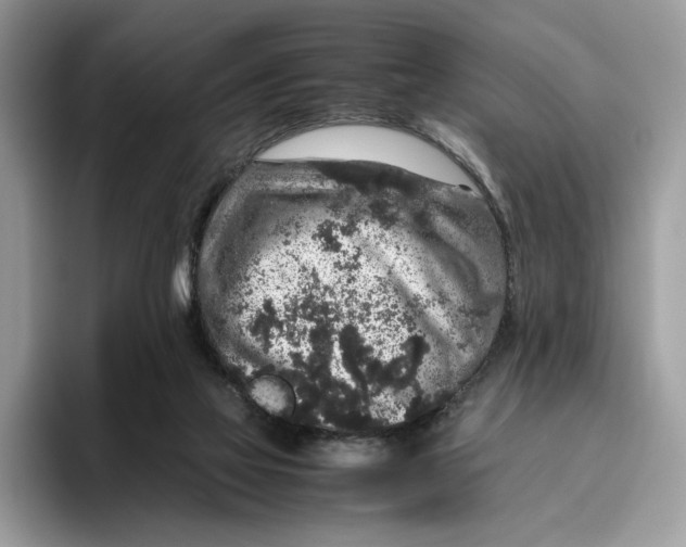 X0000095950069200802011110