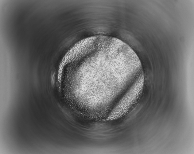 X0000095950070200802011110