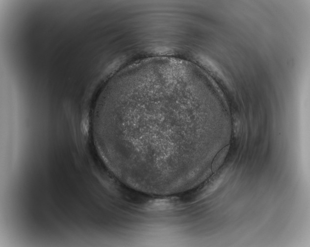 X0000095950072200802011110