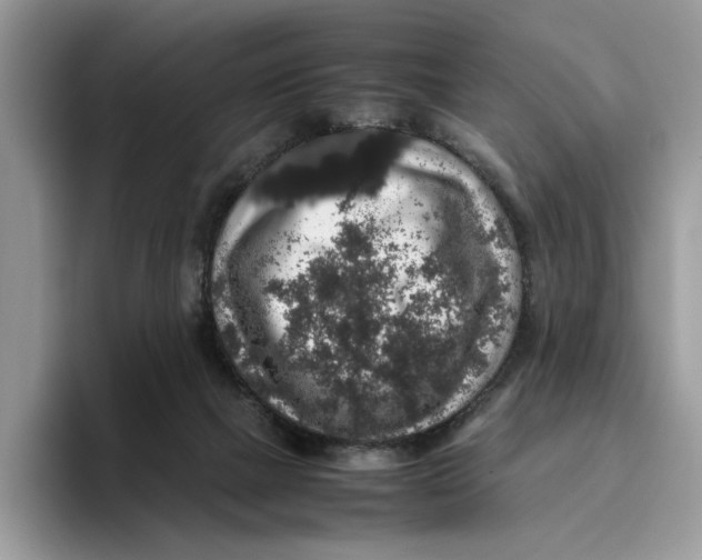 X0000095950073200802011110