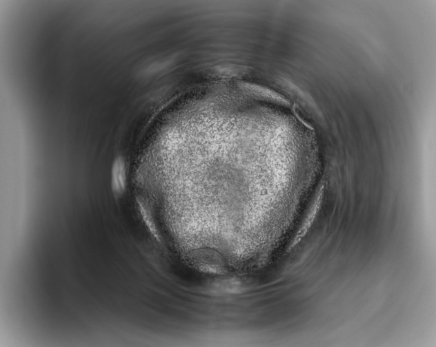 X0000095950075200802011110