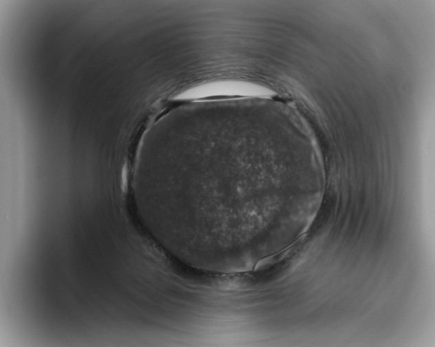 X0000095950076200802011110