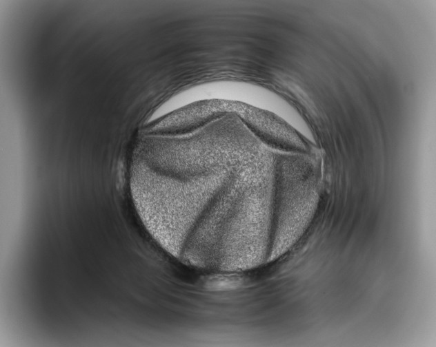 X0000095950077200802011110