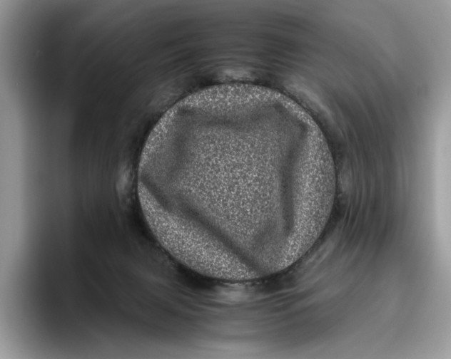 X0000095950079200802011110