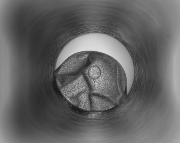 X0000095950080200802011110