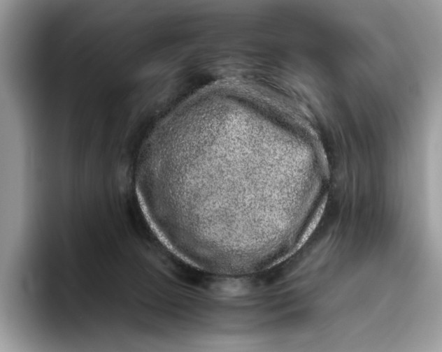 X0000095950081200802011110