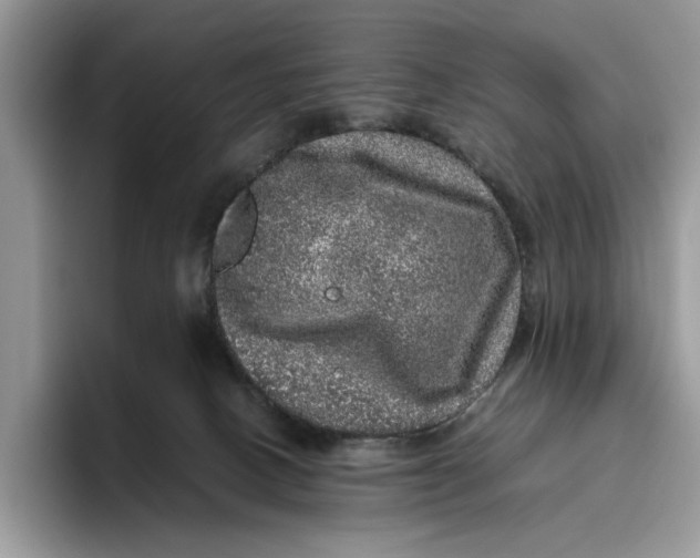 X0000095950082200802011110