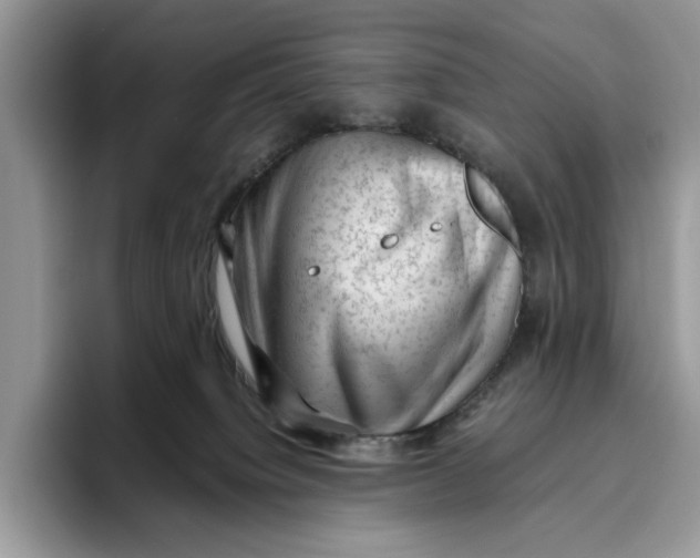 X0000095950084200802011110