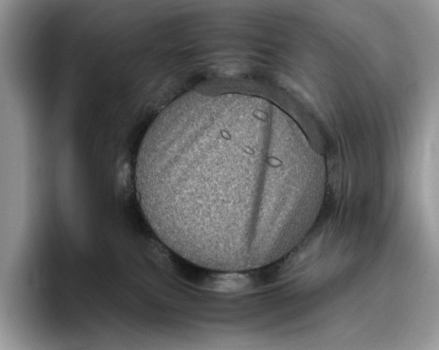 X0000095950087200802011110