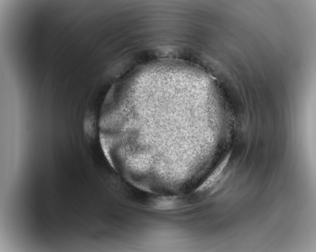 X0000095950090200802011110