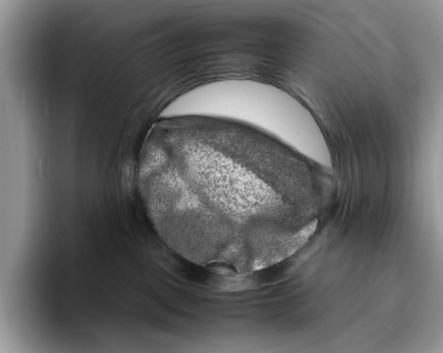 X0000095950093200802011110