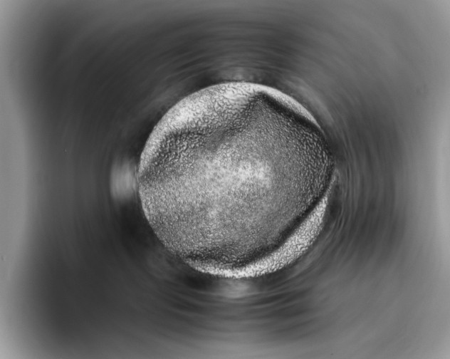 X0000095950095200802011110