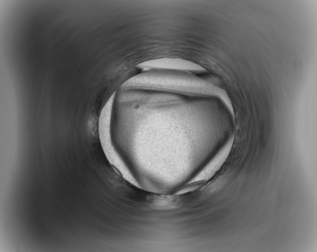 X0000095950096200802011110