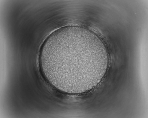 X0000095950098200802011110