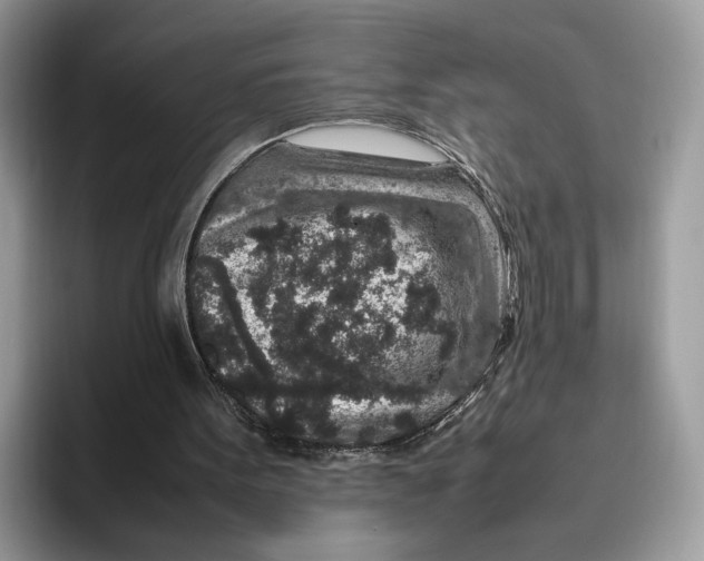 X0000095950099200802011110