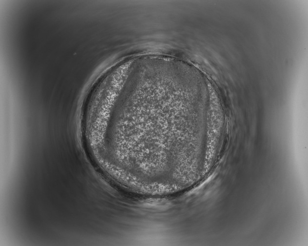 X0000095950101200802011110