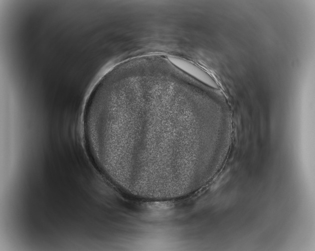 X0000095950102200802011110