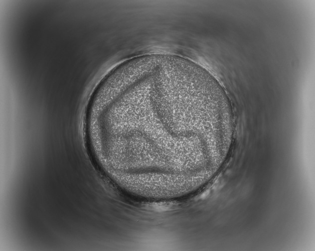 X0000095950103200802011110