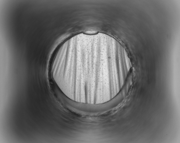 X0000095950104200802011110