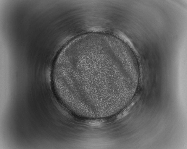 X0000095950106200802011110