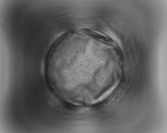 X0000095950107200802011110