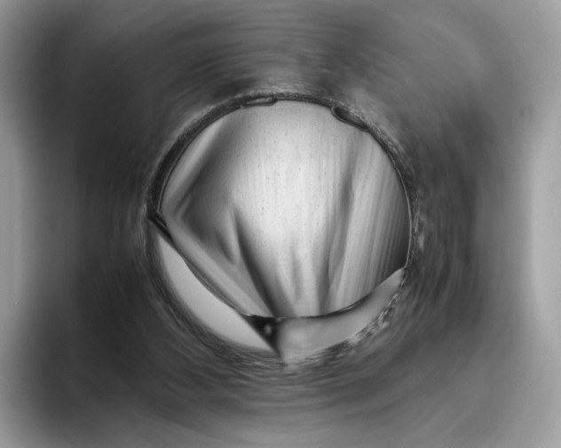 X0000095950108200802011110